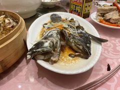 -同君福大酒楼(紫新路店)