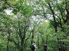 -杭州半山国家森林公园