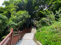 -天鹿湖森林公园