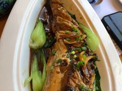 -天正河鲀·河豚亭(大连店)