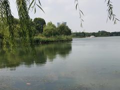 -暨阳湖生态园