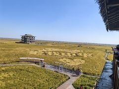 -红海滩国家风景廊道