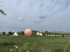 -安德鲁户外烧烤帐篷营地(马泉营店)