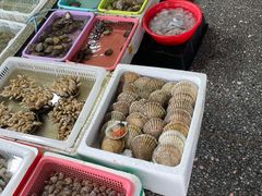 -霞涌市场海鲜摆卖区
