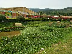 景点-盈香心动乐园