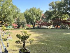 -申粤轩酒楼(丁香花园店)