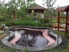 -东海森林温泉度假酒店