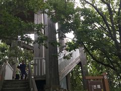 -帽儿山国家森林公园