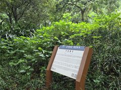 -张坝桂圆林公园