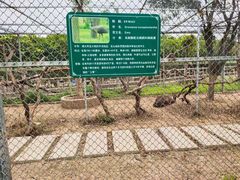 -长廊欢乐园