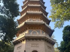 -灵谷景区