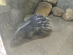 -青青世界