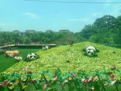 -卓玥国际月子会所(罗山路店)