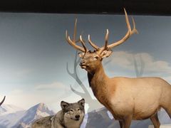 -陕西自然博物馆