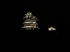 -七欣天香辣蟹火锅(南京建宁路大观天地店)