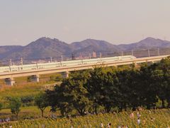 -光明小镇欢乐田园