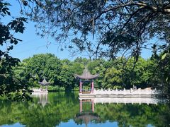 -青龙山国家森林公园