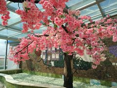5楼 汗蒸-大顶子山温泉旅游区
