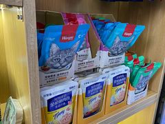 -pd派德宠物中心医院24H急重症·眼科中心·血液透析中心(嵩山北路店)