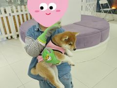 -怪兽屋·羊驼·猫咖·狗咖(俊华广场店)