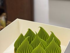 -猫里有甜