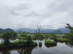 -大九湖