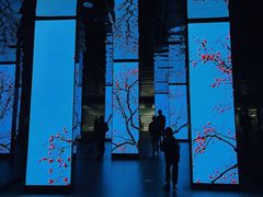 -中国湿地博物馆