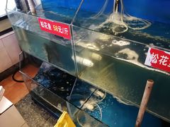 -粗粮人家·东北菜(洋桥店)