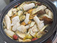 -蘑统田下·野生菌火锅