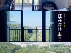 -美的鹭湖森林度假区