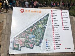 -曹州牡丹园
