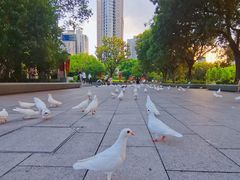 -人民广场