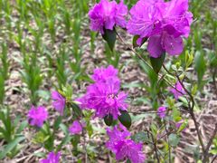 -长春市南湖公园