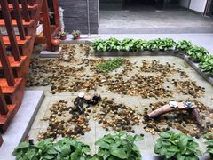 -桃苑居阳澄湖·蟹千恩(美人腿店)