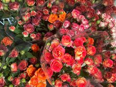 -循礼门鲜花花市(武汉循礼门店)