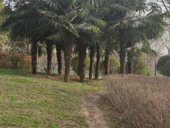 -洨河生态公园