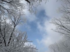 -中旅松花湖滑雪场