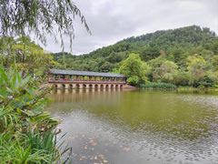 -黔灵山公园