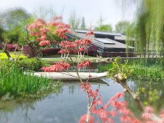 -成飞公园