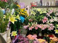 -曲阳花鸟市场(曲阳路店)