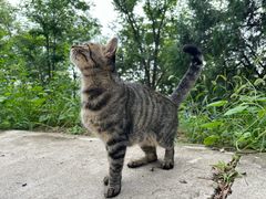 -北京西山国家森林公园