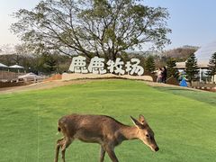 -盈香心动乐园