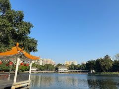 -荔湾湖公园