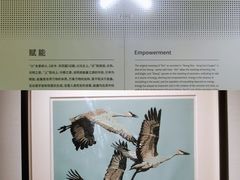 -武汉美术馆(汉口馆)