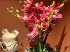 -霖公馆SPA·足道(普善路店)