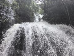 -藏龙百瀑风景区