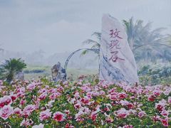 -亚龙湾国际玫瑰谷