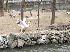 -黔灵山公园