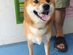 -创凡宠物医院·骨专科  猫科中心(西乡分院)