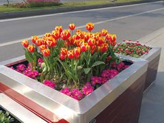 -四川大学(华西校区)